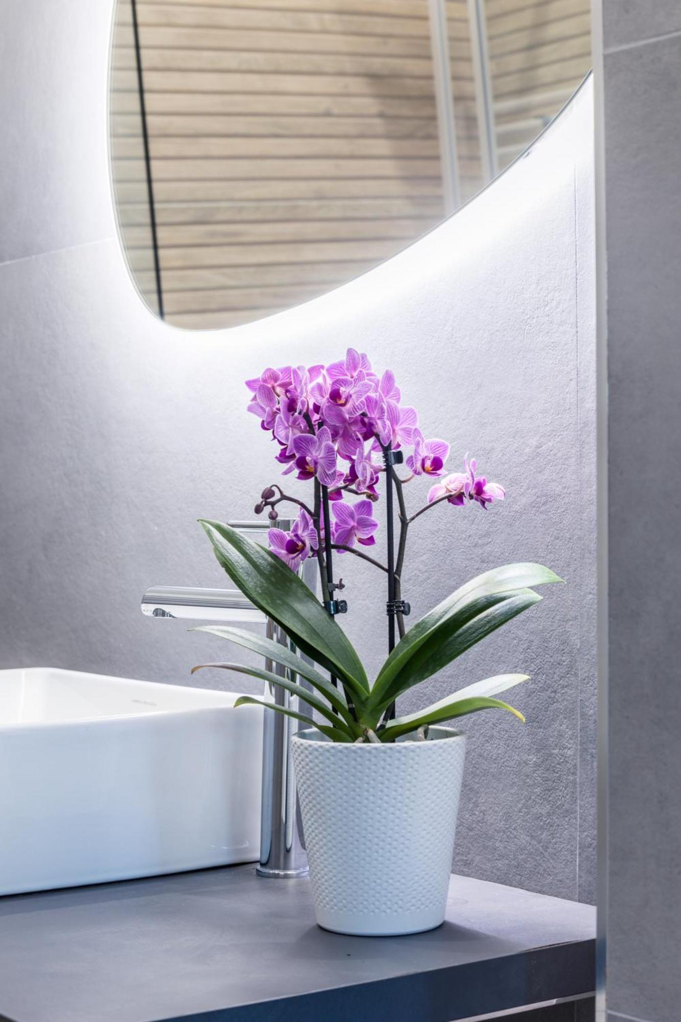 Mhouse Roma Apartment Luaran gambar